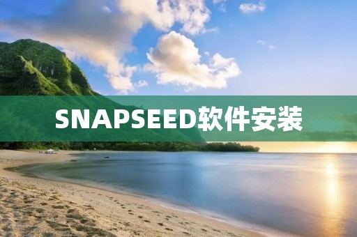 SNAPSEED软件安装:轻松打造手机摄影利器