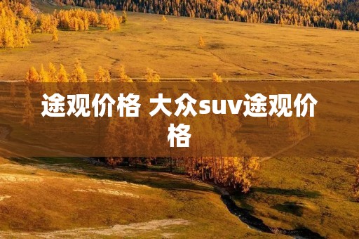 途观价格 大众suv途观价格