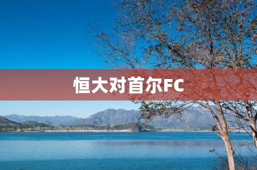恒大对首尔FC:亚冠战役中的较量 恒大对首尔FC:亚冠战役中的较量