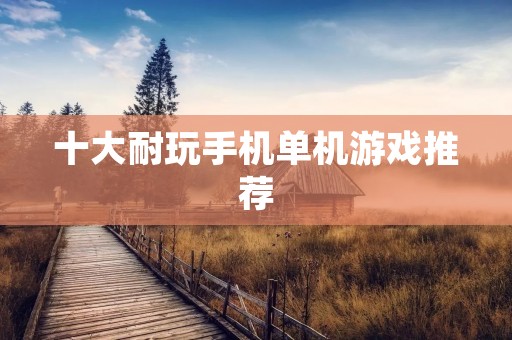 十大耐玩手机单机游戏推荐