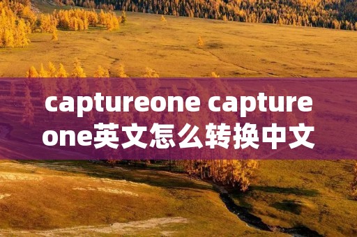 captureone captureone英文怎么转换中文