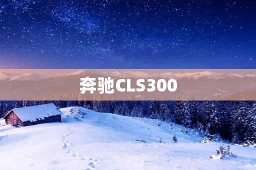 奔驰CLS300:奢华与性能的完美结合 奔驰CLS300:奢华与性能的完美结合