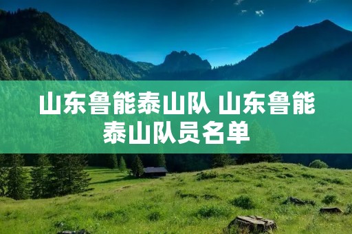 山东鲁能泰山队 山东鲁能泰山队员名单