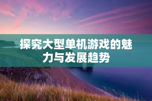 探究大型单机游戏的魅力与发展趋势