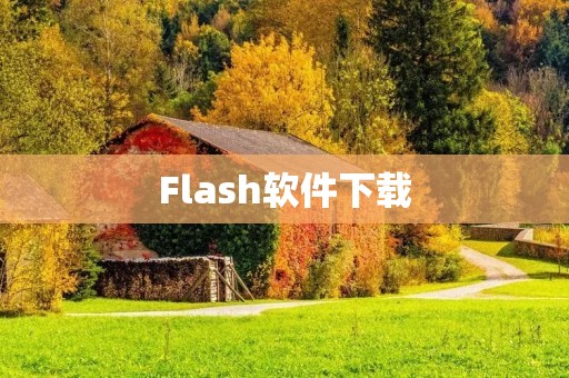 Flash软件下载：让你的创意无限发挥