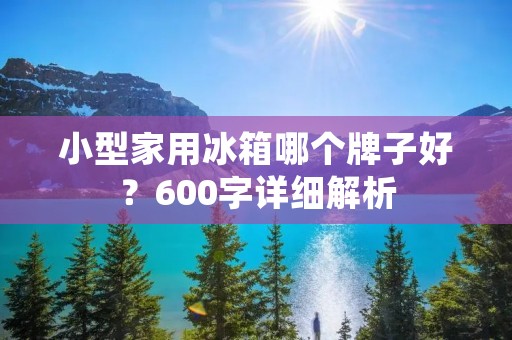 小型家用冰箱哪个牌子好？600字详细解析