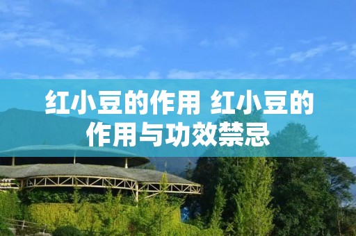 红小豆的作用 红小豆的作用与功效禁忌