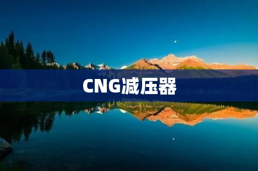 CNG减压器:提高燃气利用效率的关键设备 CNG减压器:提高燃气利用效率的关键设备