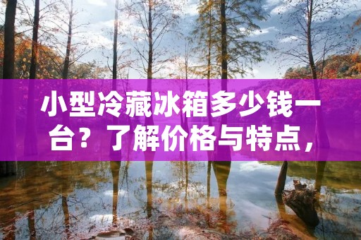 小型冷藏冰箱多少钱一台?了解价格与特点,为您选择提供参考 小型冷藏冰箱多少钱一台?了解价格与特点,为您选择提供参考