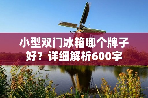 小型双门冰箱哪个牌子好?详细解析600字 小型双门冰箱哪个牌子好?详细解析600字