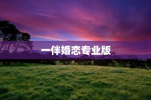 一伴婚恋专业版：助您寻找真爱的最佳选择