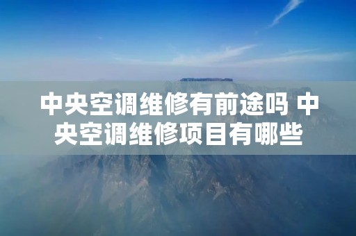 中央空调维修有前途吗 中央空调维修项目有哪些