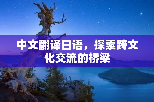 中文翻译日语,探索跨文化交流的桥梁 中文翻译日语,探索跨文化交流的桥梁
