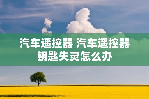 汽车遥控器 汽车遥控器钥匙失灵怎么办