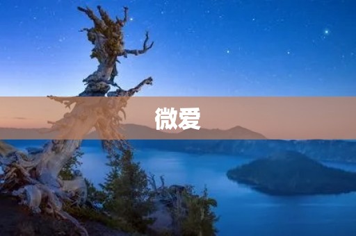 微爱：点滴温暖，传递关怀