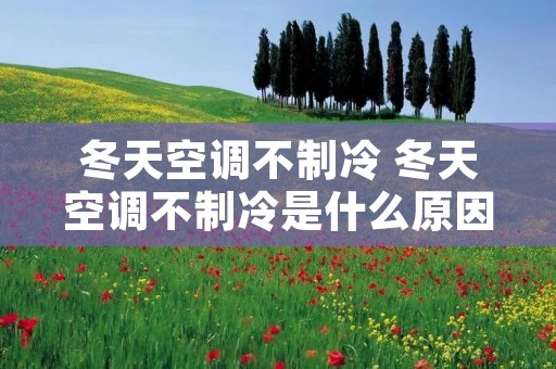 冬天空调不制冷 冬天空调不制冷是什么原因