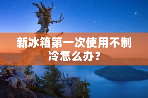 新冰箱第一次使用不制冷怎么办? 新冰箱第一次使用不制冷怎么办?