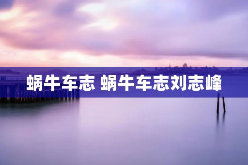 蜗牛车志 蜗牛车志刘志峰