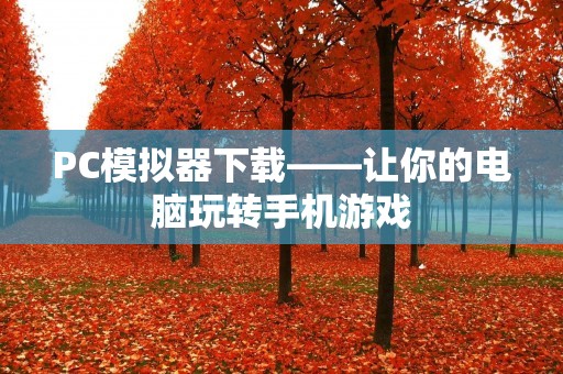 PC模拟器下载——让你的电脑玩转手机游戏 PC模拟器下载——让你的电脑玩转手机游戏