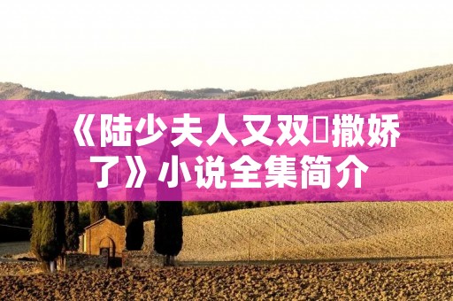 《陆少夫人又双叒撒娇了》小说全集简介
