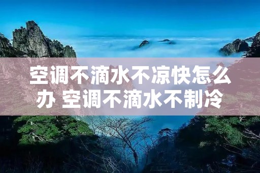 空调不滴水不凉快怎么办 空调不滴水不制冷解决方法
