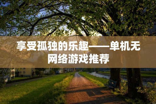 享受孤独的乐趣——单机无网络游戏推荐