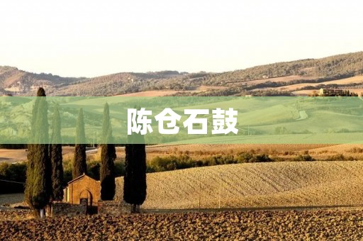 陈仓石鼓:历史长河中的文化瑰宝 陈仓石鼓:历史长河中的文化瑰宝