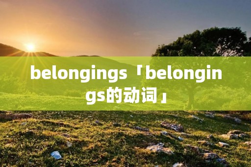 belongings「belongings的动词」 belongings「belongings的动词」