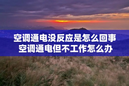 空调通电没反应是怎么回事 空调通电但不工作怎么办 空调通电没反应是怎么回事 空调通电但不工作怎么办