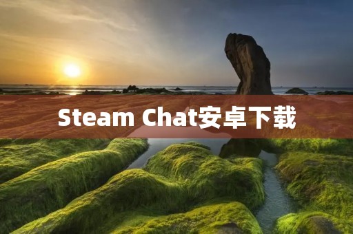 Steam Chat安卓下载:畅享全新的游戏社交体验 Steam Chat安卓下载:畅享全新的游戏社交体验