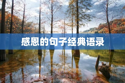 感恩的句子经典语录:感恩让生命更美好 感恩的句子经典语录:感恩让生命更美好