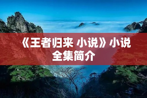 《王者归来 小说》小说全集简介