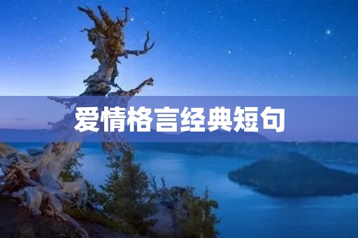 爱情格言经典短句:让爱在言语中流淌