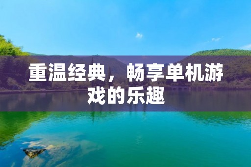 重温经典,畅享单机游戏的乐趣 重温经典,畅享单机游戏的乐趣