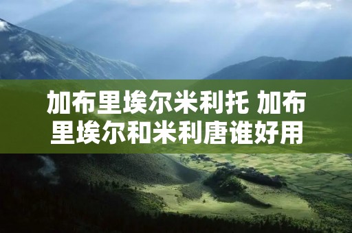 加布里埃尔米利托 加布里埃尔和米利唐谁好用