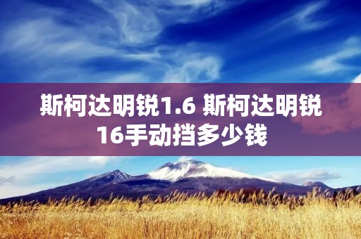 斯柯达明锐1.6 斯柯达明锐16手动挡多少钱 斯柯达明锐1.6 斯柯达明锐16手动挡多少钱