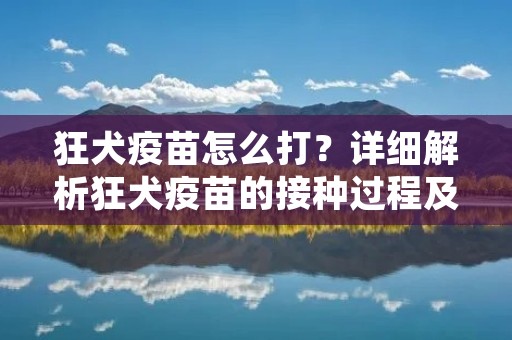 狂犬疫苗怎么打？详细解析狂犬疫苗的接种过程及注意事项