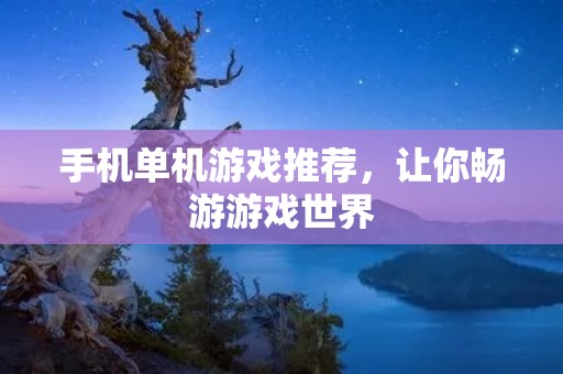 手机单机游戏推荐，让你畅游游戏世界
