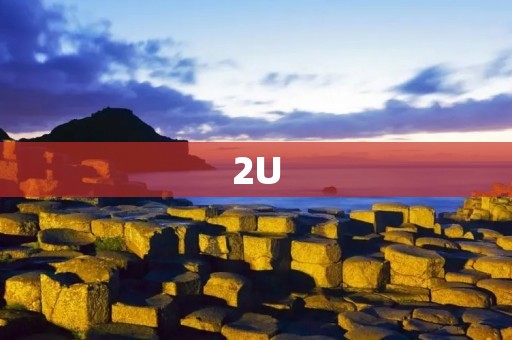 2U:颠覆传统教育模式的在线学习平台 2U:颠覆传统教育模式的在线学习平台