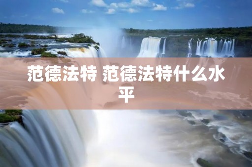 范德法特 范德法特什么水平 范德法特 范德法特什么水平