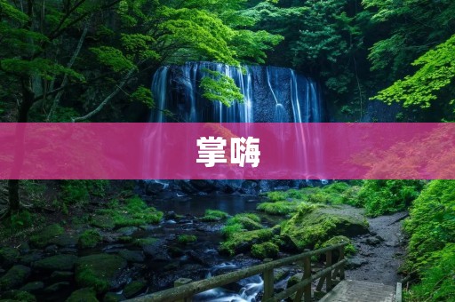 掌嗨:让你的生活更加便捷和智能 掌嗨:让你的生活更加便捷和智能