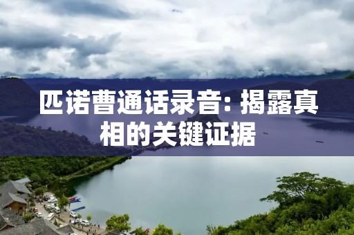 匹诺曹通话录音: 揭露真相的关键证据 匹诺曹通话录音: 揭露真相的关键证据