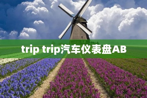 trip trip汽车仪表盘AB