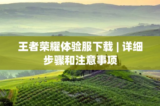 王者荣耀体验服下载 | 详细步骤和注意事项