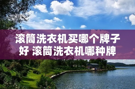 滚筒洗衣机买哪个牌子好 滚筒洗衣机哪种牌子好 滚筒洗衣机买哪个牌子好 滚筒洗衣机哪种牌子好