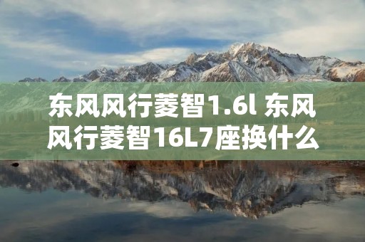 东风风行菱智1.6l 东风风行菱智16L7座换什么电瓶