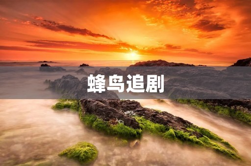 蜂鸟追剧：让你的观影体验更加轻松愉快