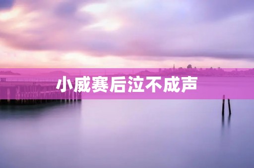 小威赛后泣不成声:我拼尽全力 小威发飙