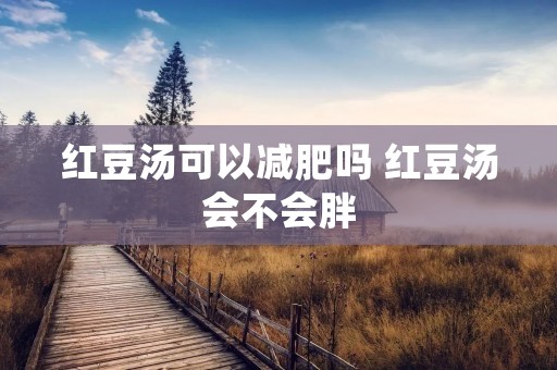 红豆汤可以减肥吗 红豆汤会不会胖
