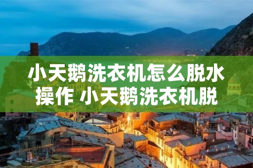 小天鹅洗衣机怎么脱水操作 小天鹅洗衣机脱水操作视频